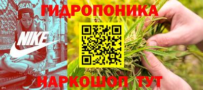 ALPHA PVP Новозыбков