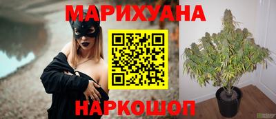 ALPHA PVP Новозыбков