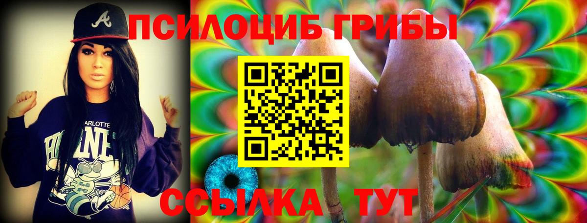 Галлюциногенные грибы Cubensis Ртищево