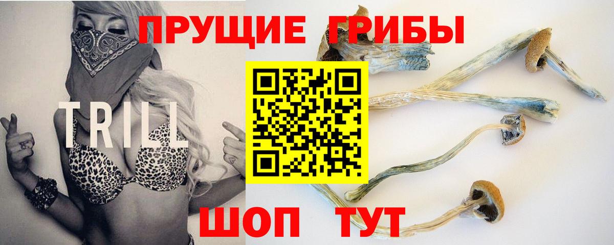 Ртищево  Псилоцибиновые грибы мицелий  где купить наркоту  Вход с VPN 